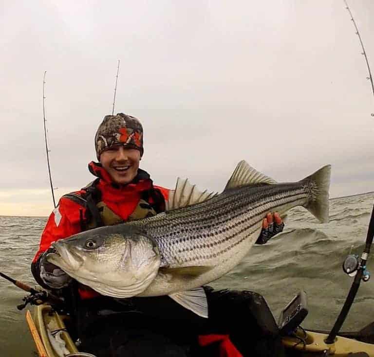 Changes Being Considered by Striped Bass Board