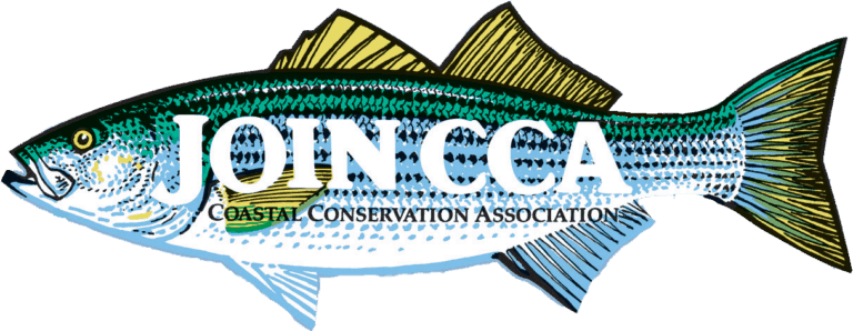 CCA STRIPED BASS CCA STRIPED BASS