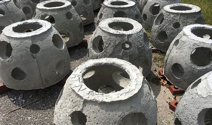 Donate to Living Reef Action Campaign