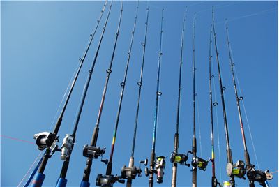 Fishing Rods at the Westminster Library