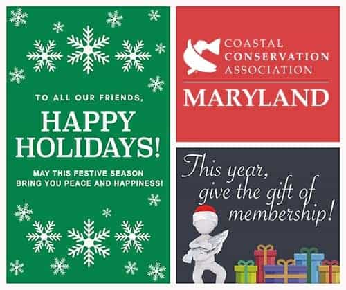 HolidayGiving2018-500w HolidayGiving2018-500w
