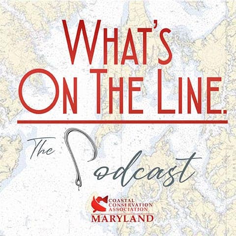 podcast-whats-on-the-line