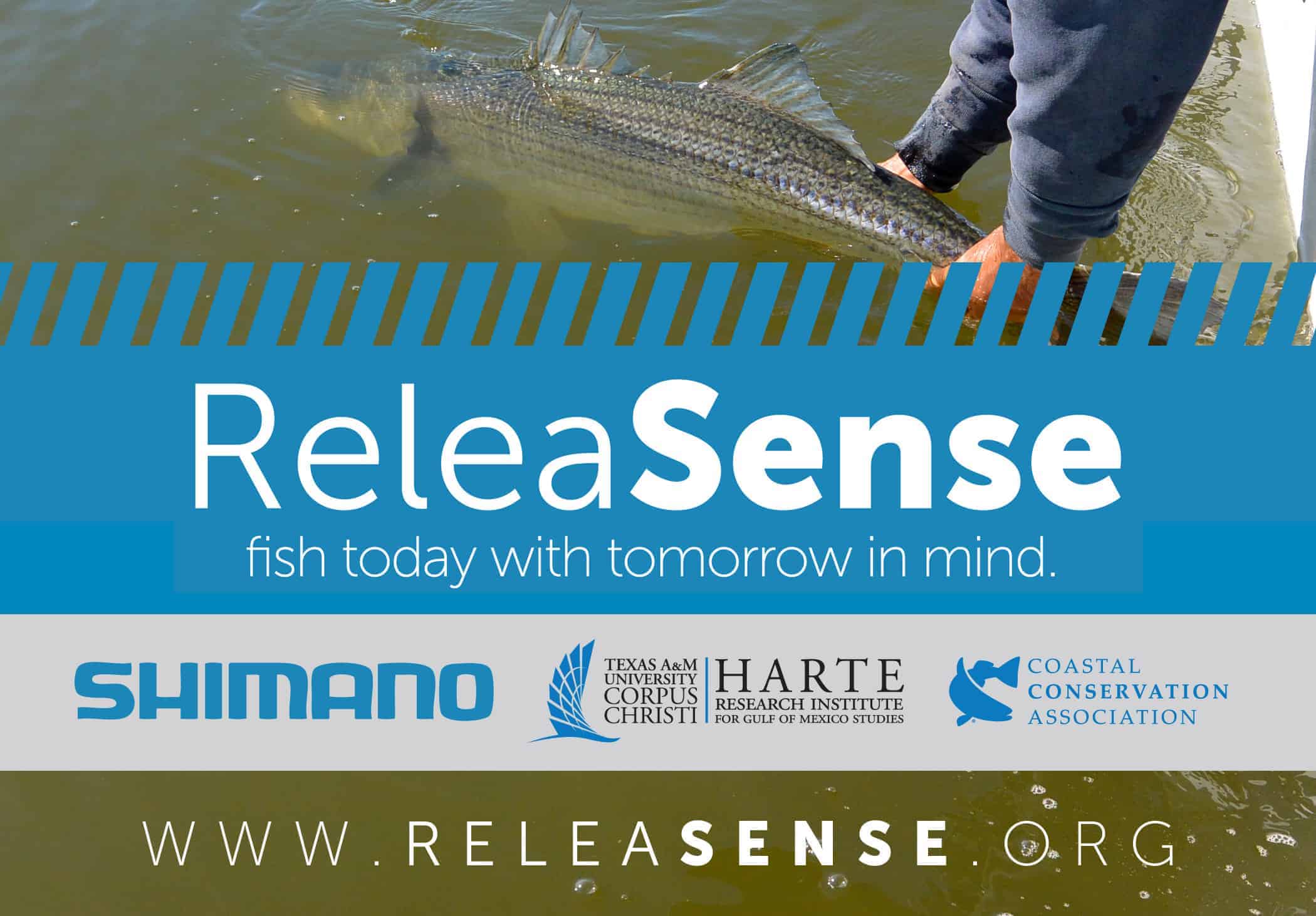 sportfishing_half_cca_releasense