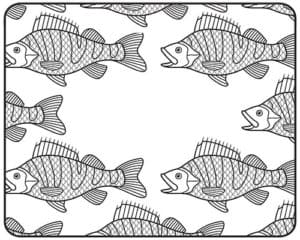 Yellow Perch Coloring Page