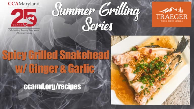 Summer Grilling Series: Spicy Grilled Snakehead w/ Garlic & Ginger