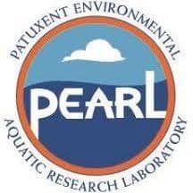 Pearl Logo