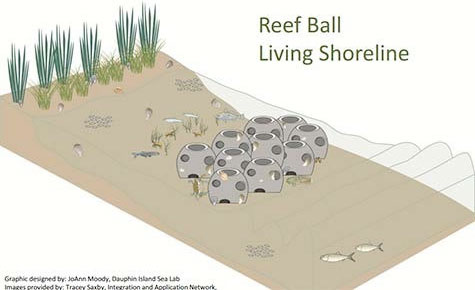 Reef Ball Living Shoreline