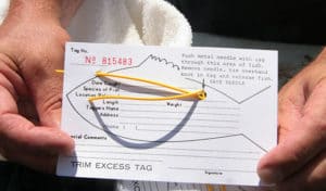 Sample Fish Tag