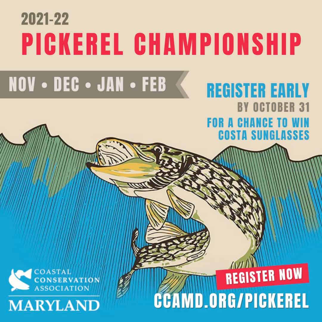pickerel registration open