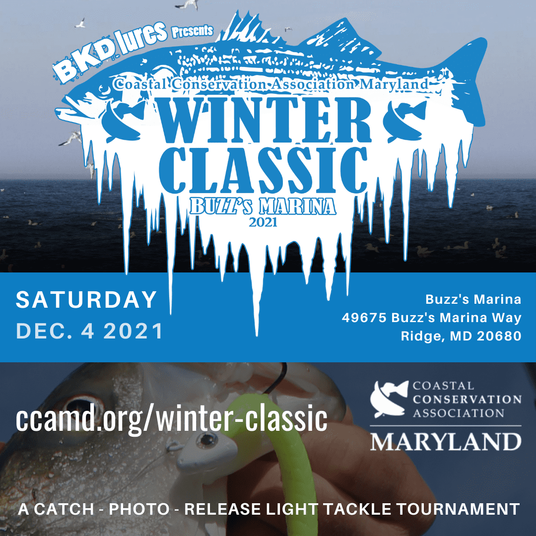 winter classic 2021