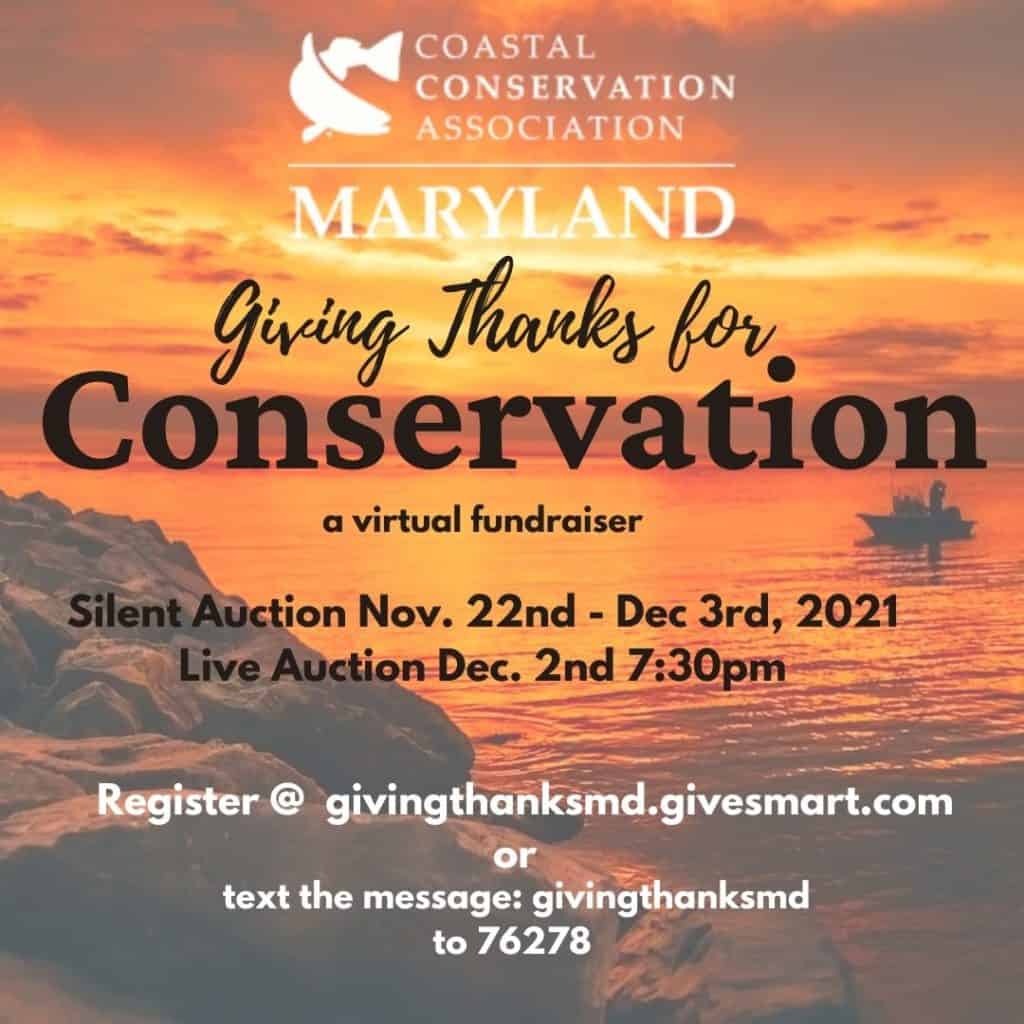 Giving Thanks Social .