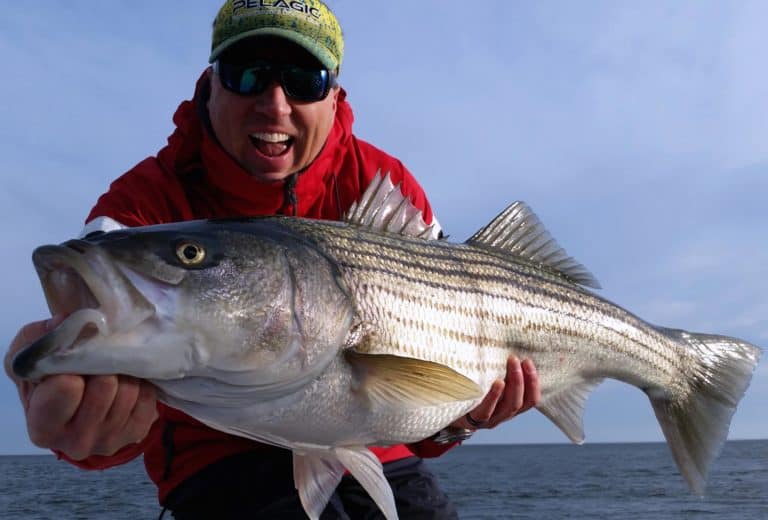 CCA Angler’s Guide to Draft Amendment 7 for Striped Bass – March 2022