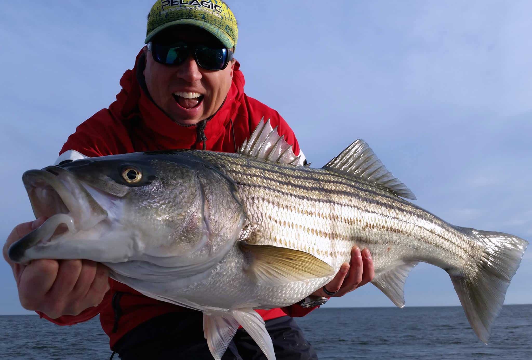 CCA Angler's Guide to Draft Amendment 7 for Striped Bass - March 2022