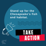 Visit the Take Action Center