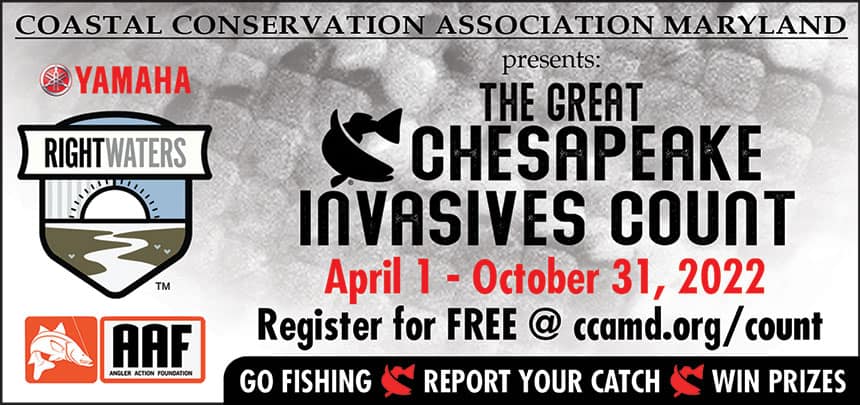 Banner for Invasives Count 2022