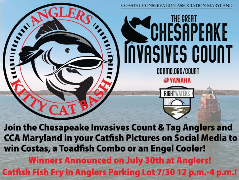 Angler’s Kitty Cat Bash and Great Chesapeake Invasives Count Team Up in July!