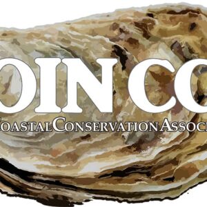 limited edition oyster sticker