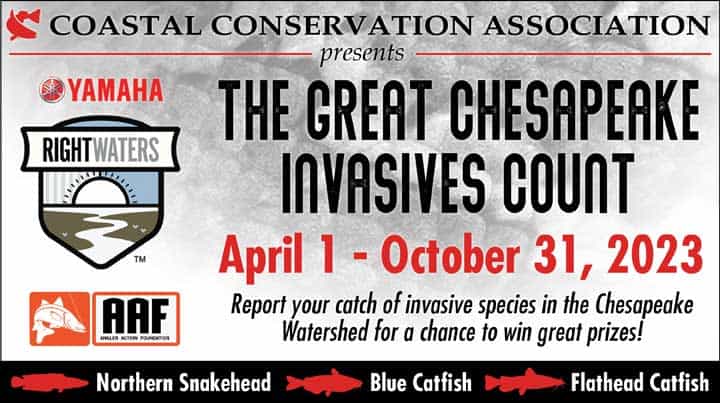 2023 Great Chesapeake Invasives Count