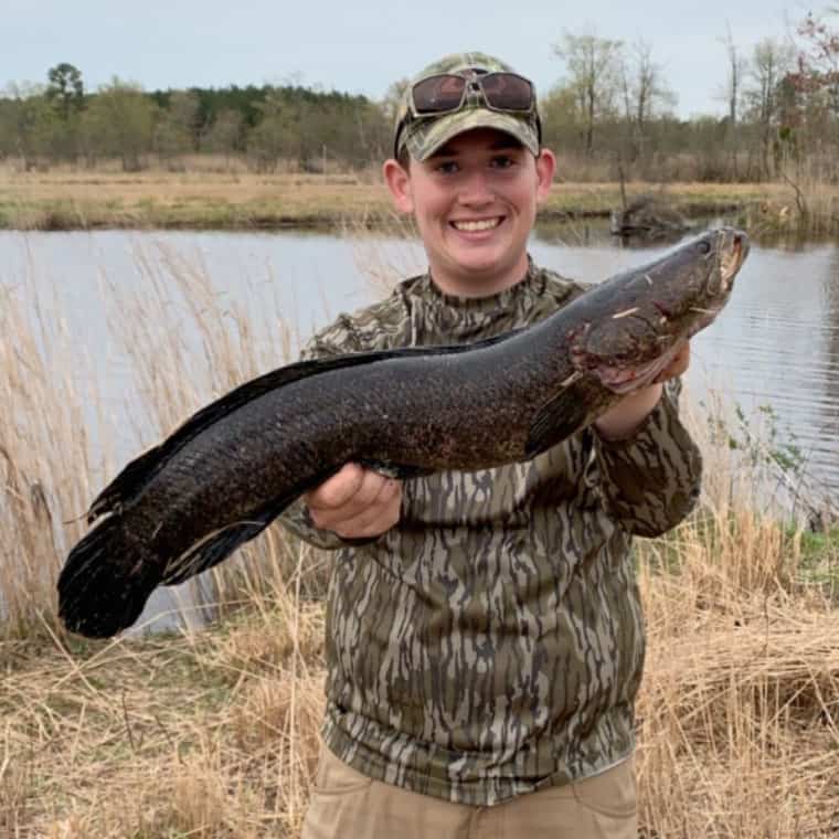 young man holding up caught snakehead fish