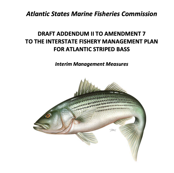Provide Input on Draft Rockfish Regulations