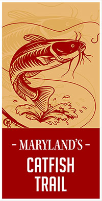 Maryland's catfish trail