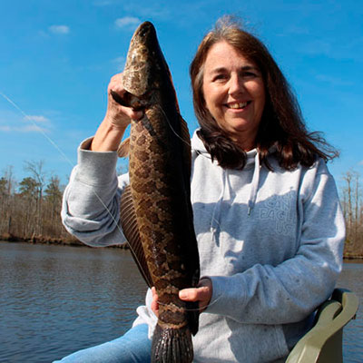 FishTalk-melissa-rudow-snakehead