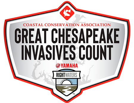 great chesapeake invasives count