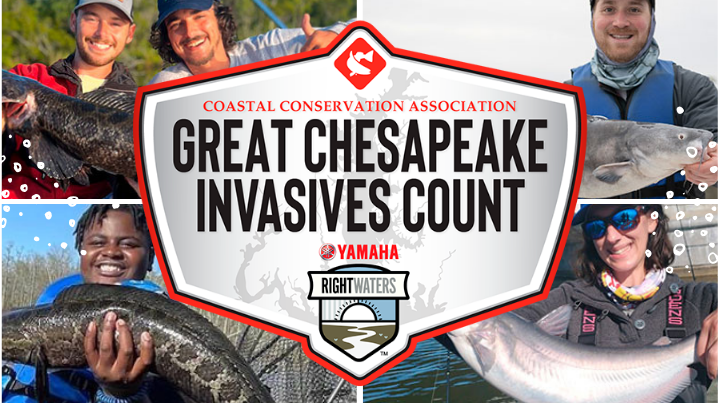Help collect important data while competing for great prizes!