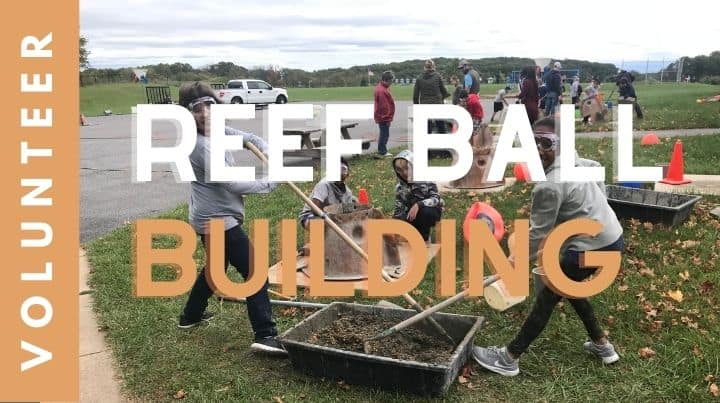 Reef Ball Building