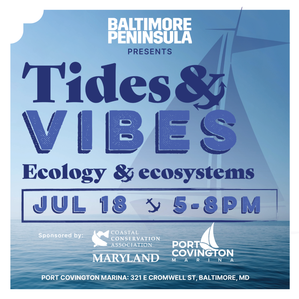 07.18.24_Tides&Vibes_Flyer