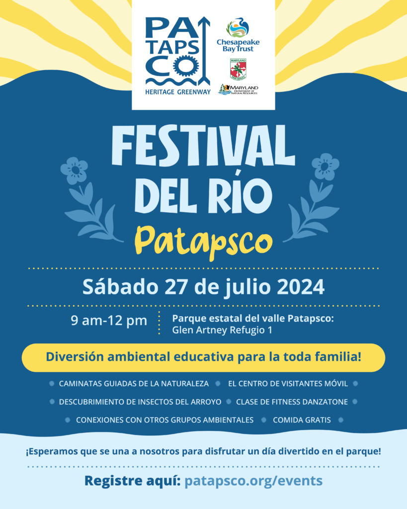 Festival Del Rio Flyer