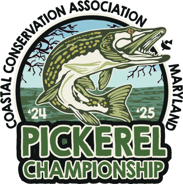 2024-2025-Pickerel Dark Letters 2024-2025-Pickerel Dark Letters