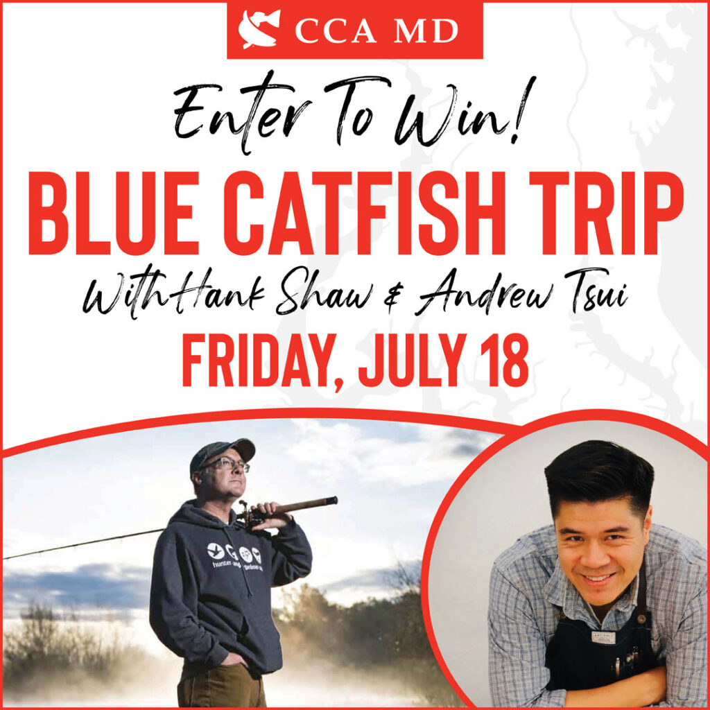 CCA-CatfishRaffle-1080-July2025_v2