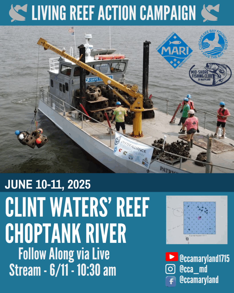 2025 LRAC Reef Deployment Template IG