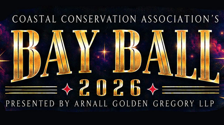 bay ball 2026