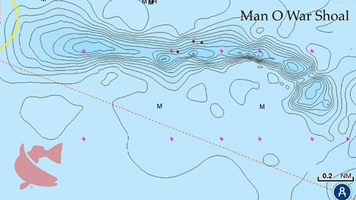 cca-what-is-man-o-war-shoal